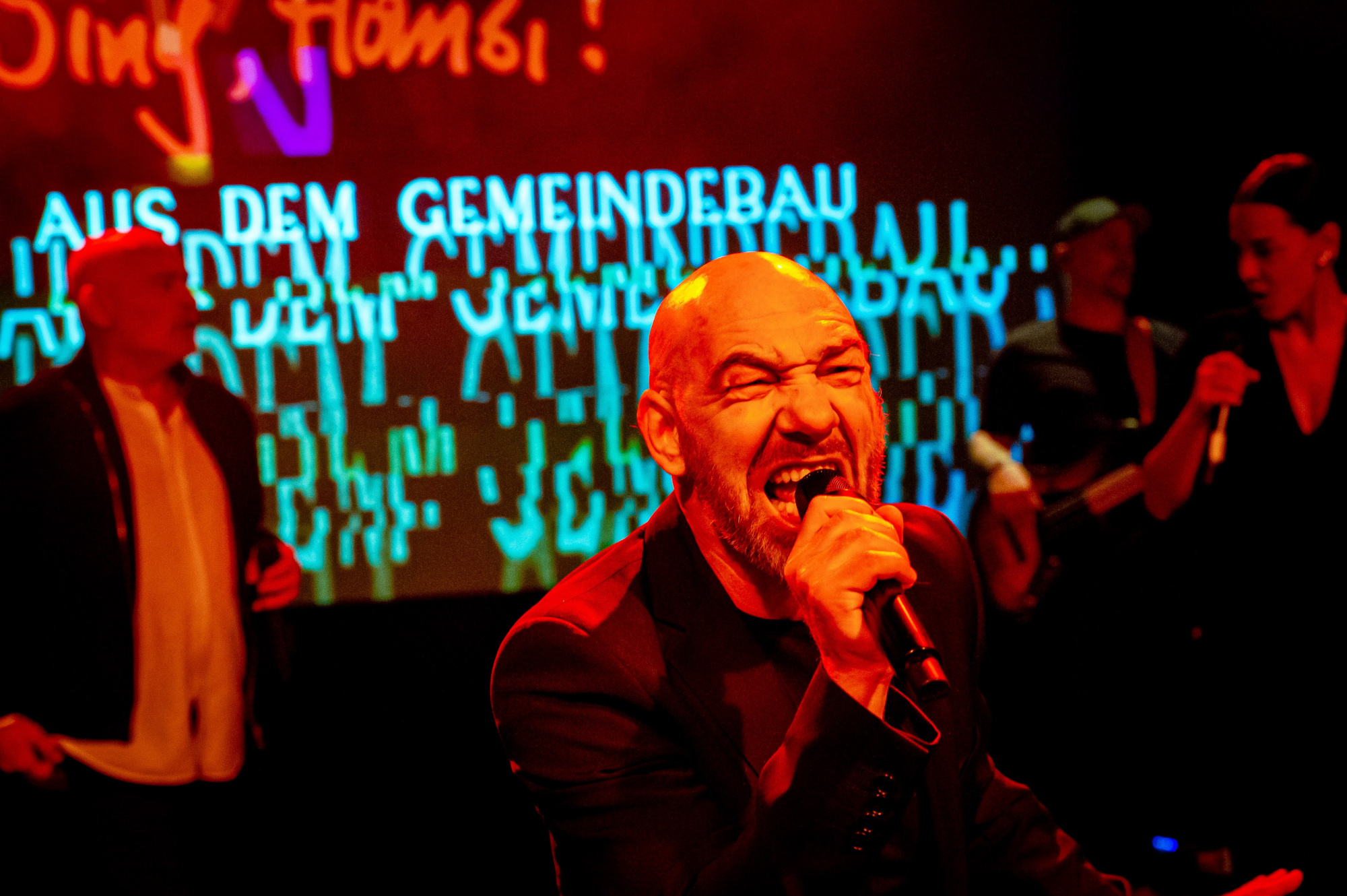 HANSI LANG:<br/> LIEDER AUS DEM GEMEINDEBAU