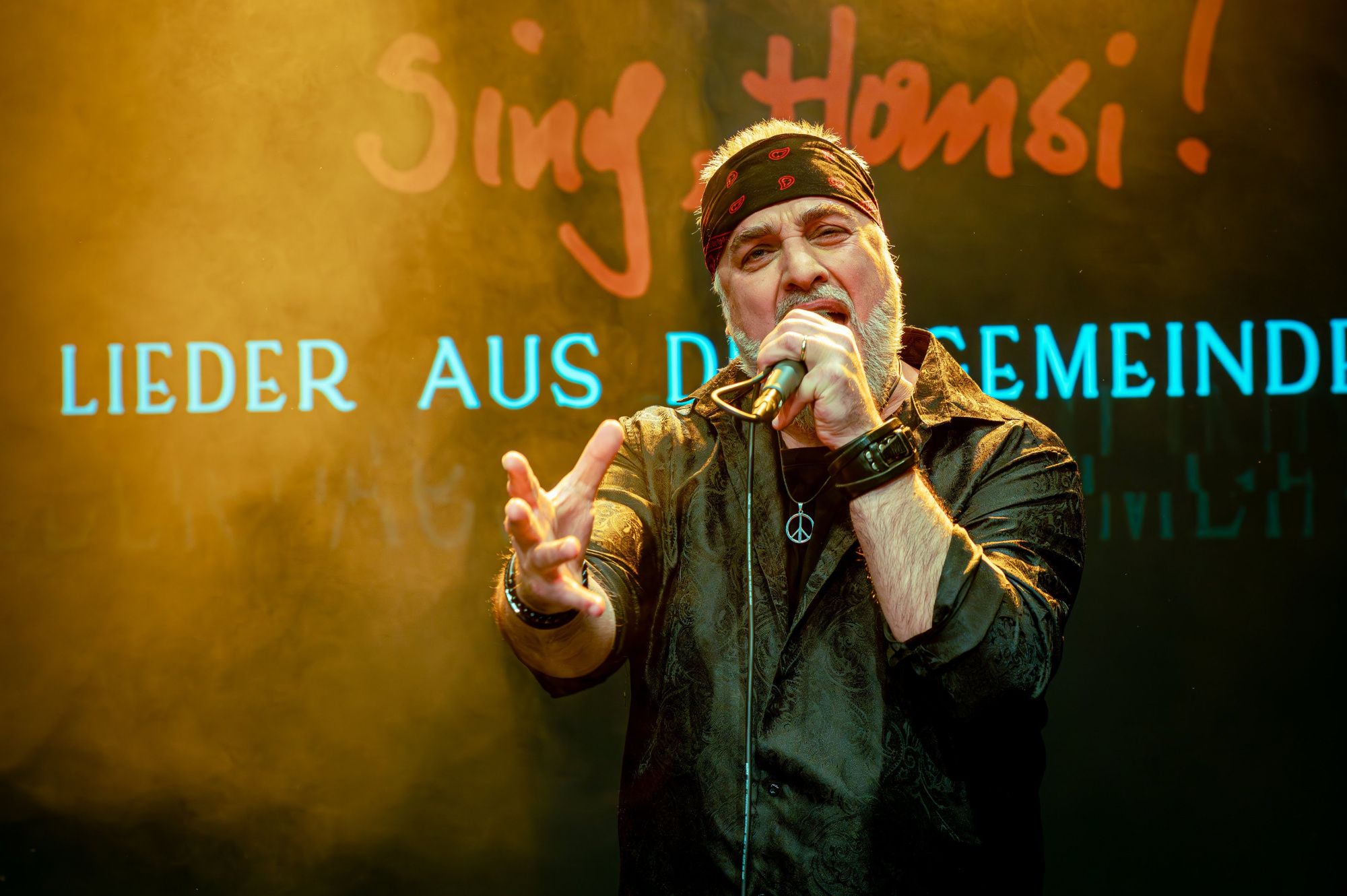 HANSI LANG:<br/> LIEDER AUS DEM GEMEINDEBAU